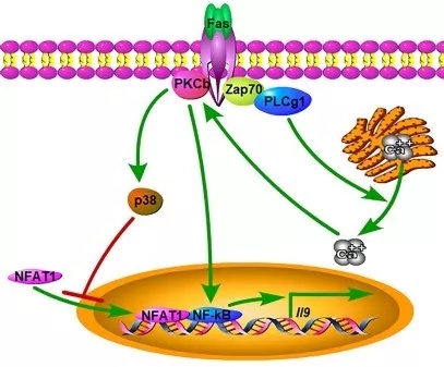 1562123608162961.jpg 640.webp.jpg